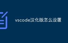 vscode汉化版怎么设置