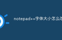 notepad++字体大小怎么改