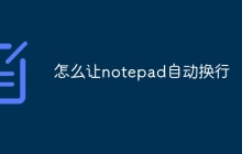 怎么让notepad自动换行