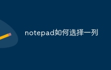 notepad如何选择一列