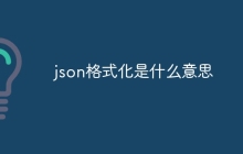 json格式化是什么意思