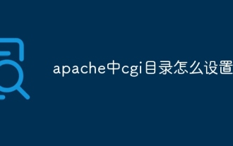 How to set the cgi directory in apache