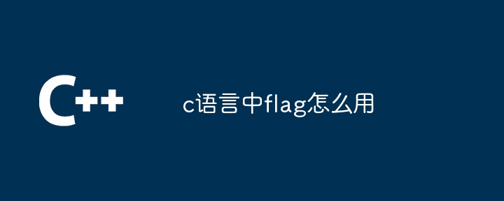 c语言中flag怎么用