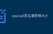 navicat怎么调字体大小