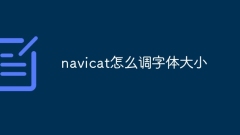 How to adjust the font size of navicat