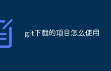 git下载的项目怎么使用