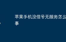 苹果手机没信号无服务怎么回事