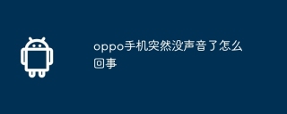 oppo手机突然没声音了怎么回事