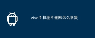 vivo手机图片删除怎么恢复