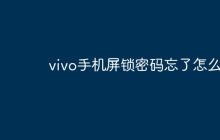 vivo手机屏锁密码忘了怎么办