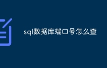 sql数据库端口号怎么查