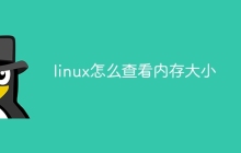 linux怎么查看内存大小