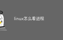 linux怎么看进程