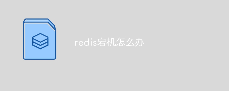 redis宕机怎么办