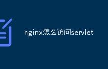 nginx怎么访问servlet