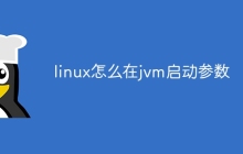 linux怎么在jvm启动参数