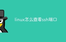 linux怎么查看ssh端口
