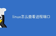 linux怎么查看进程端口