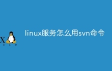 linux服务怎么用svn命令