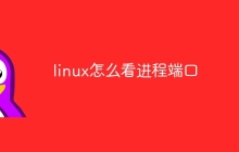linux怎么看进程端口