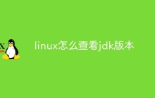 linux怎么查看jdk版本