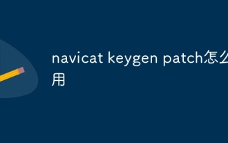 How to use navicat keygen patch