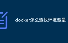 docker怎么查找环境变量