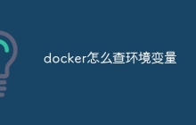 docker怎么查环境变量