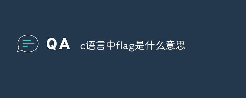 c语言中flag是什么意思