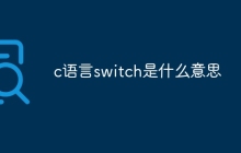 c语言switch是什么意思