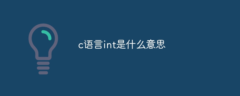 c语言int是什么意思