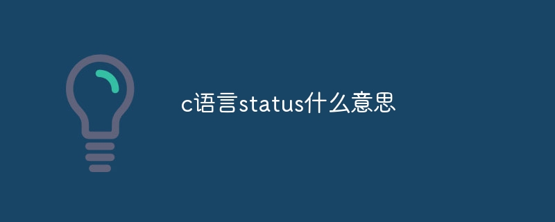 c语言status什么意思
