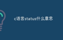 c语言status什么意思