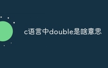 c语言中double是啥意思