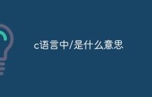 c语言中/是什么意思