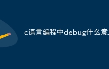 c语言编程中debug什么意思