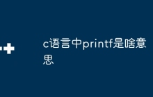 c语言中printf是啥意思