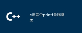 c语言中printf是啥意思