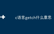 c语言getch什么意思