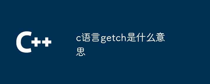 c语言getch是什么意思