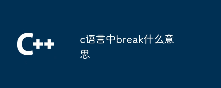 c语言中break什么意思