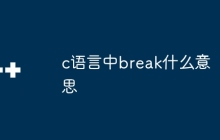 c语言中break什么意思