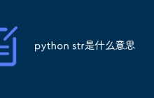 python str是什么意思