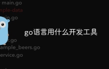 go语言用什么开发工具