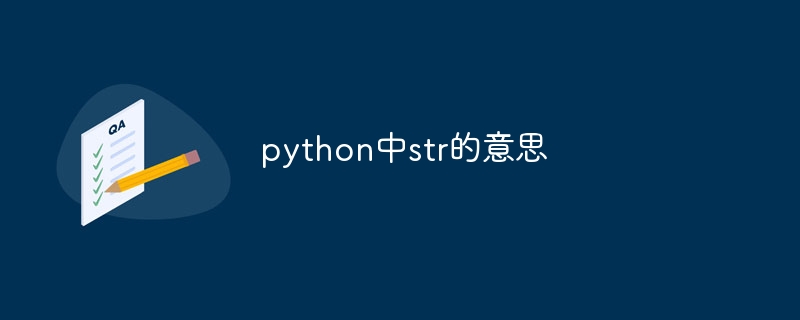 python中str的意思