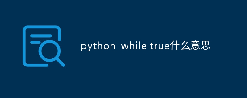 python while true什么意思