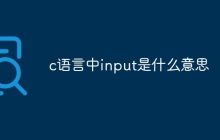 c语言中input是什么意思