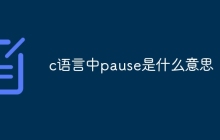c语言中pause是什么意思