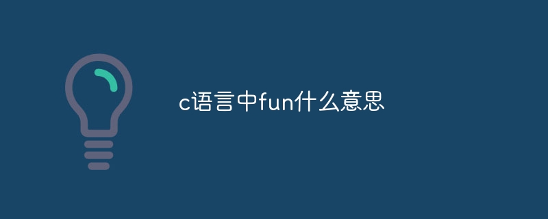 c语言中fun什么意思