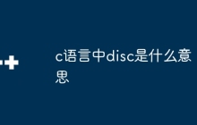 c语言中disc是什么意思